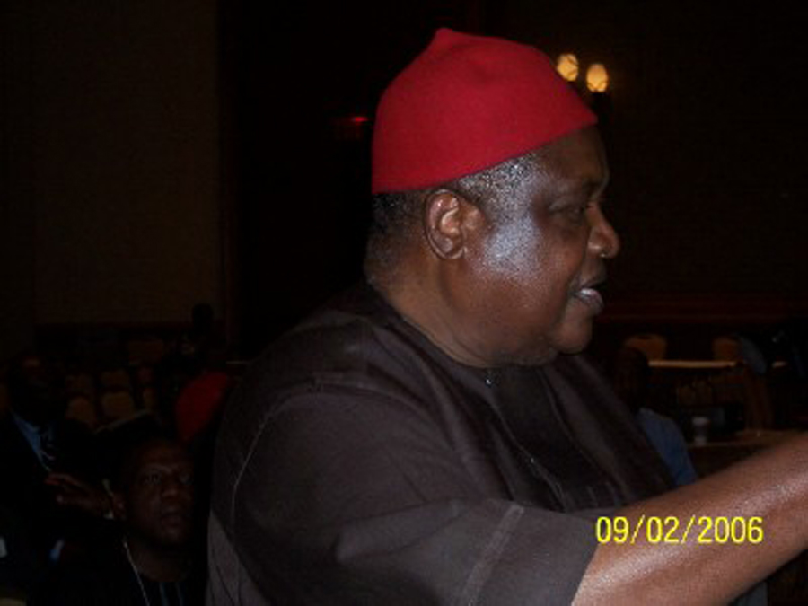 Chief Emmanuel Iwuanyanwu